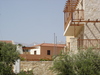 Douliana_266_medium