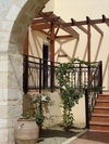 Douliana_295_medium