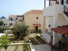 Douliana_317_medium