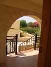 230_original_medium