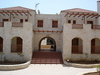 Douliana_390_medium