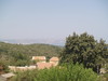 260_original_medium