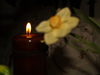 329_original_medium