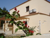 Douliana_165_medium