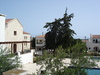 Douliana_218_medium