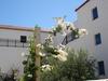 Douliana_492_medium