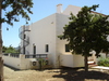Douliana_495_medium