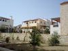 Douliana_279_medium