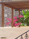 Douliana_581_medium