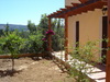 Douliana_441_medium