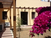 Douliana_444_medium