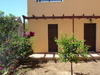 Douliana_446_medium