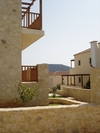 Douliana_211_medium